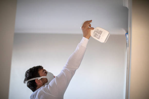 Best Certified Mold Removal  in Arkwright, SC