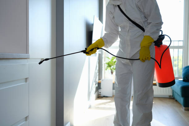 Best Professional Mold Removal  in Arkwright, SC