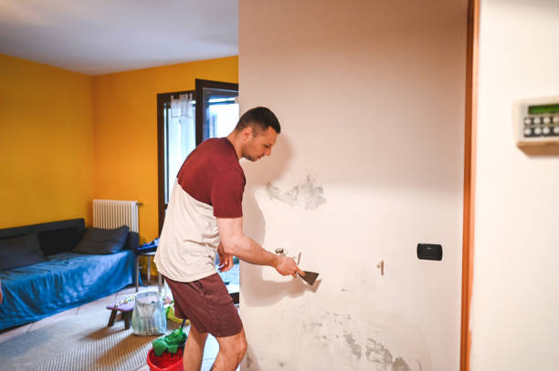 Best Fast Mold Removal  in Arkwright, SC